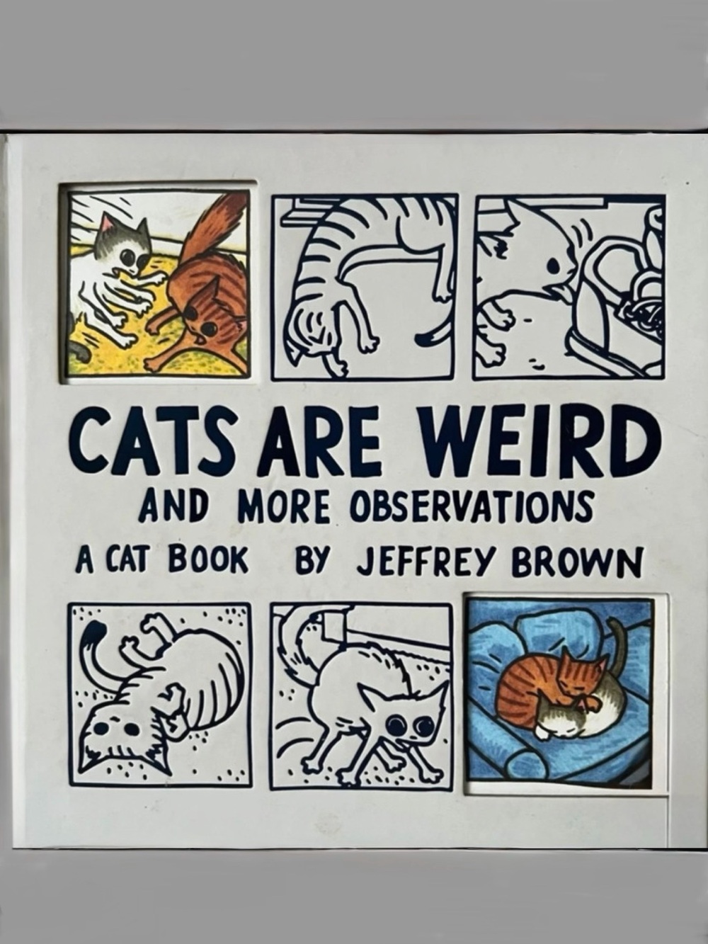 Cats Are Weird And More Observations: A Cat Book by Jeffrey Brown